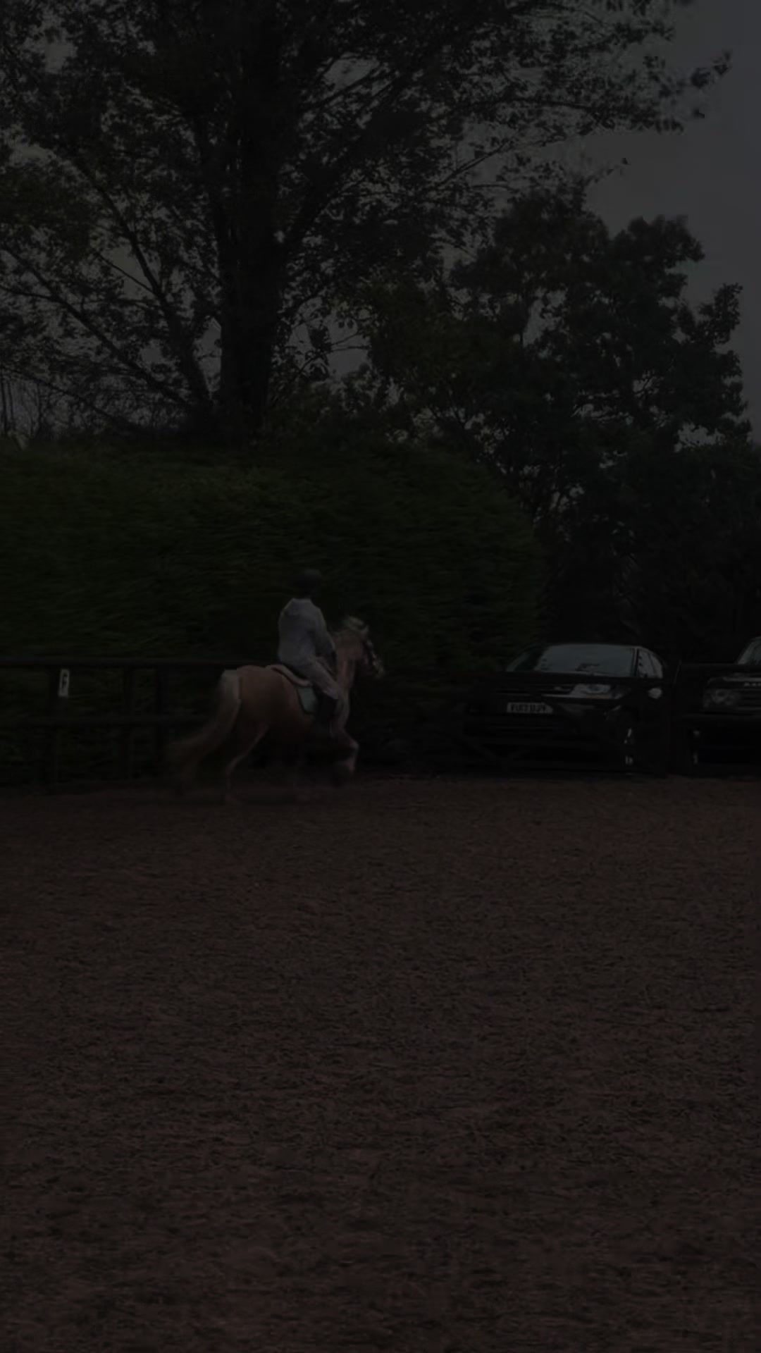 @poppy 🌾🐴 🇬🇧