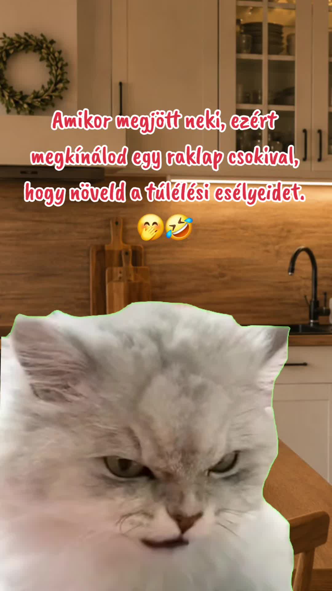 @Szabi 🇩🇪