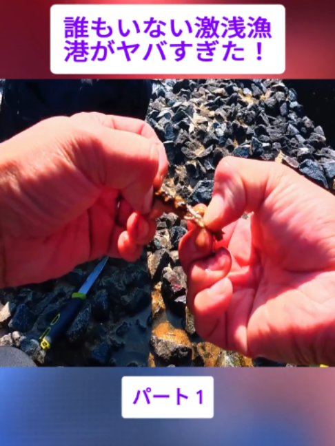 @スキューバダイビングチャンネル