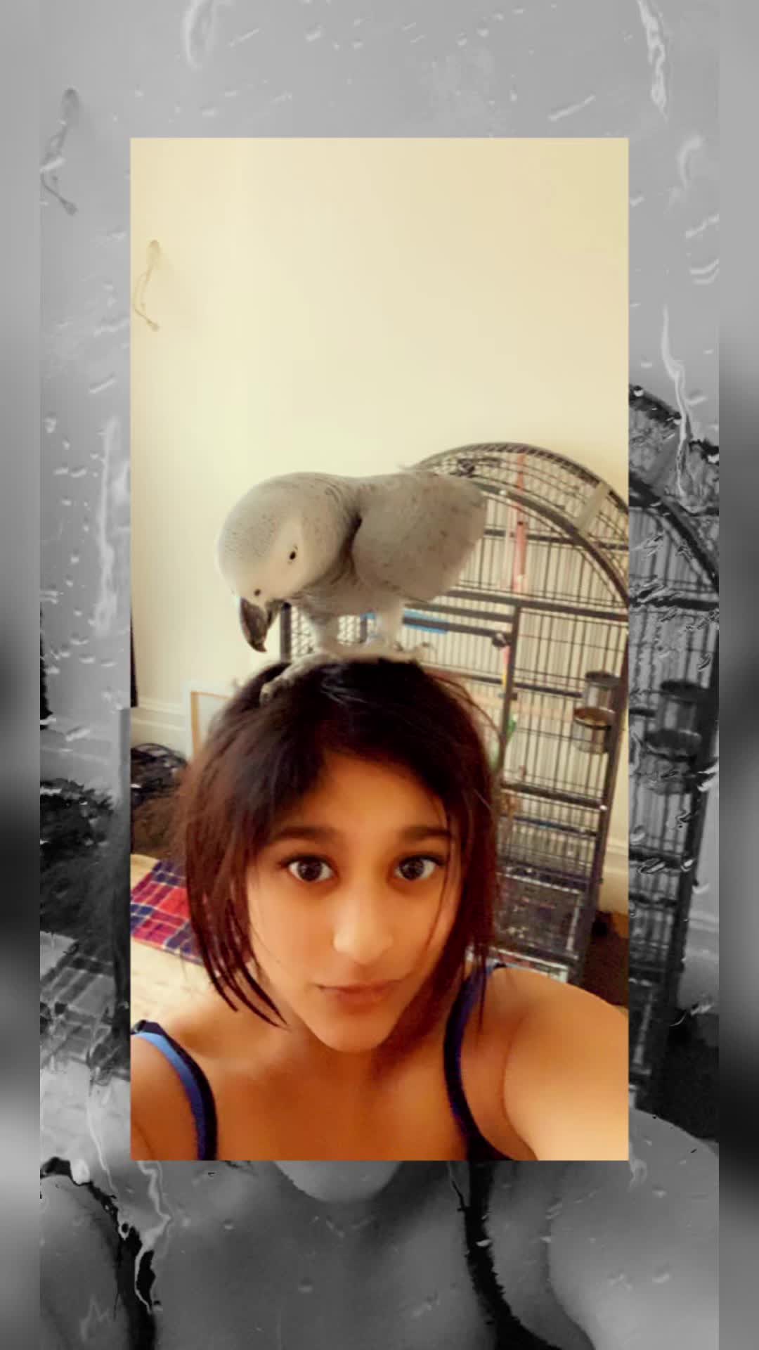 @Rush_Patel67