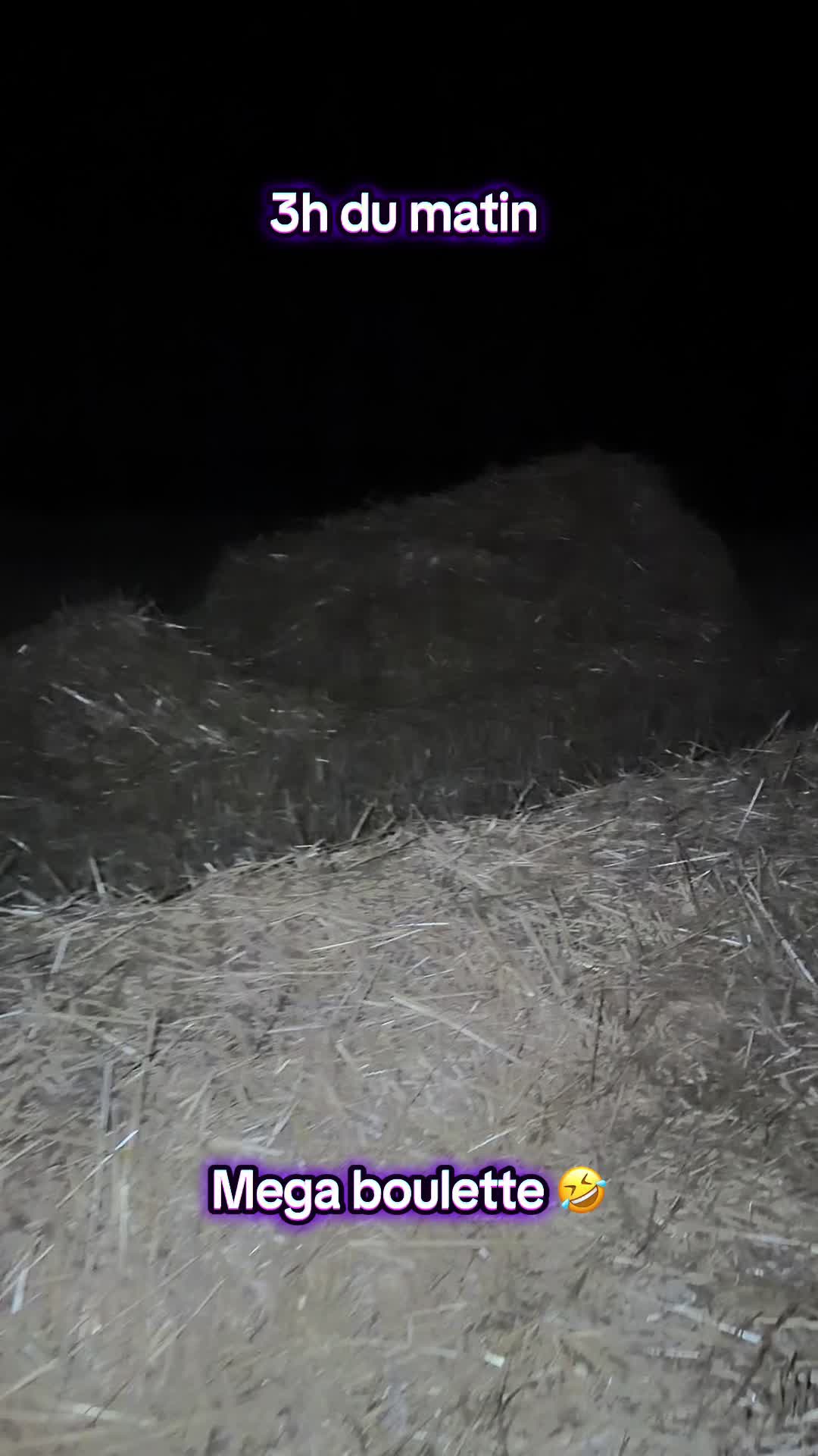 @ᏦᎥᎥᏦᏗᏗ 🌾🚜🐮