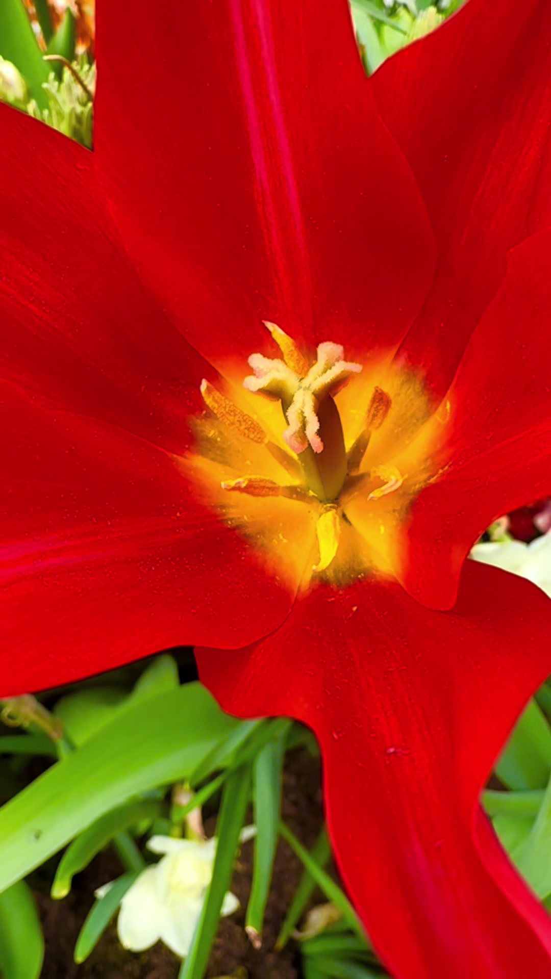 @NatureArts