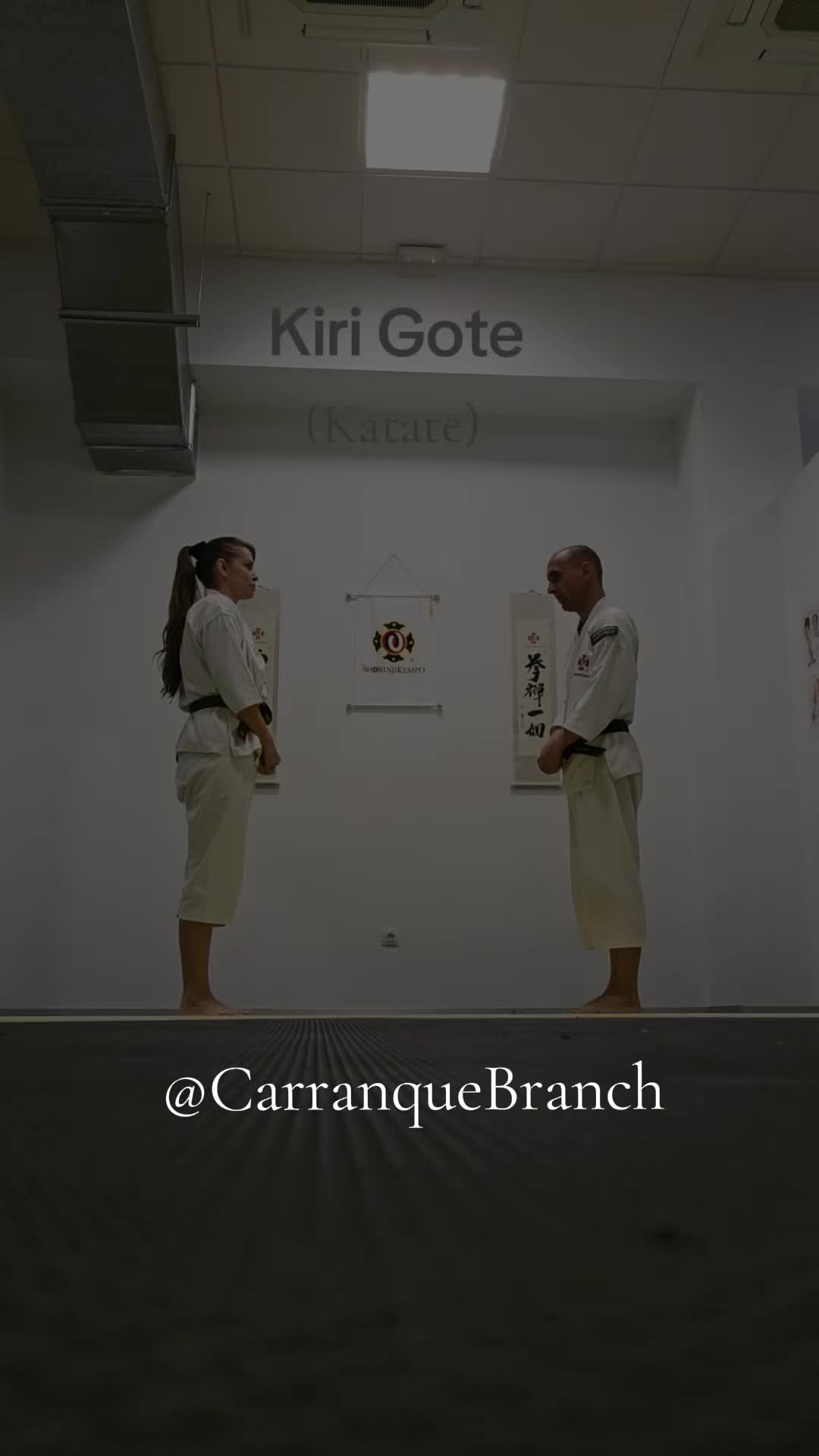 @CarranqueBranch