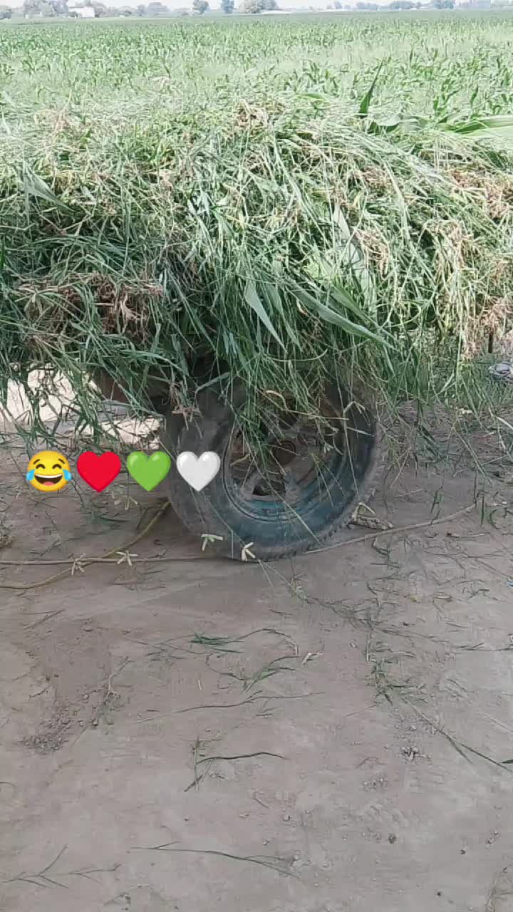 @family I love 😘&hearts;️🥀