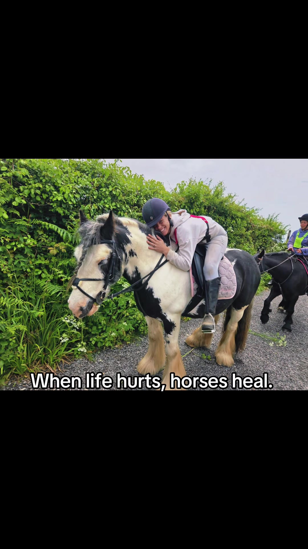 @horsetiktoc