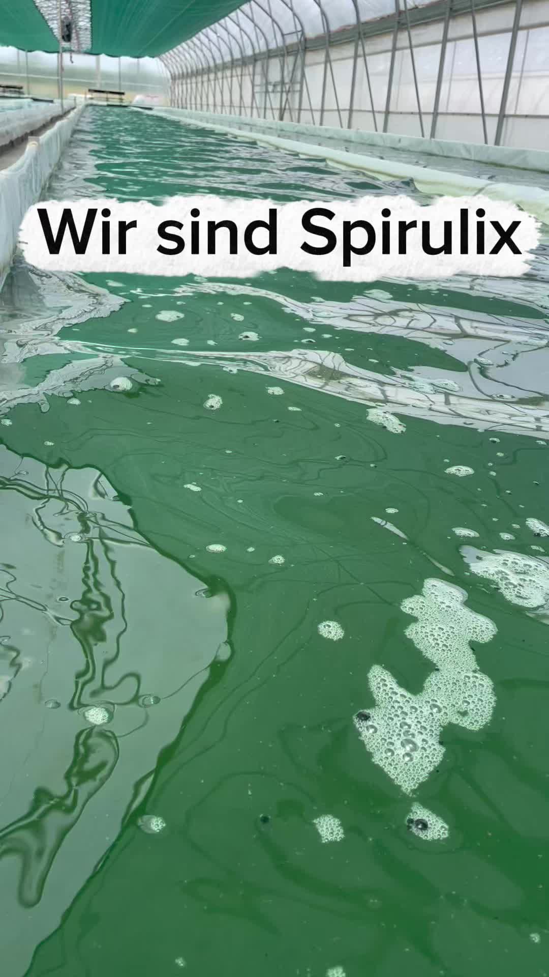 @Spirulix