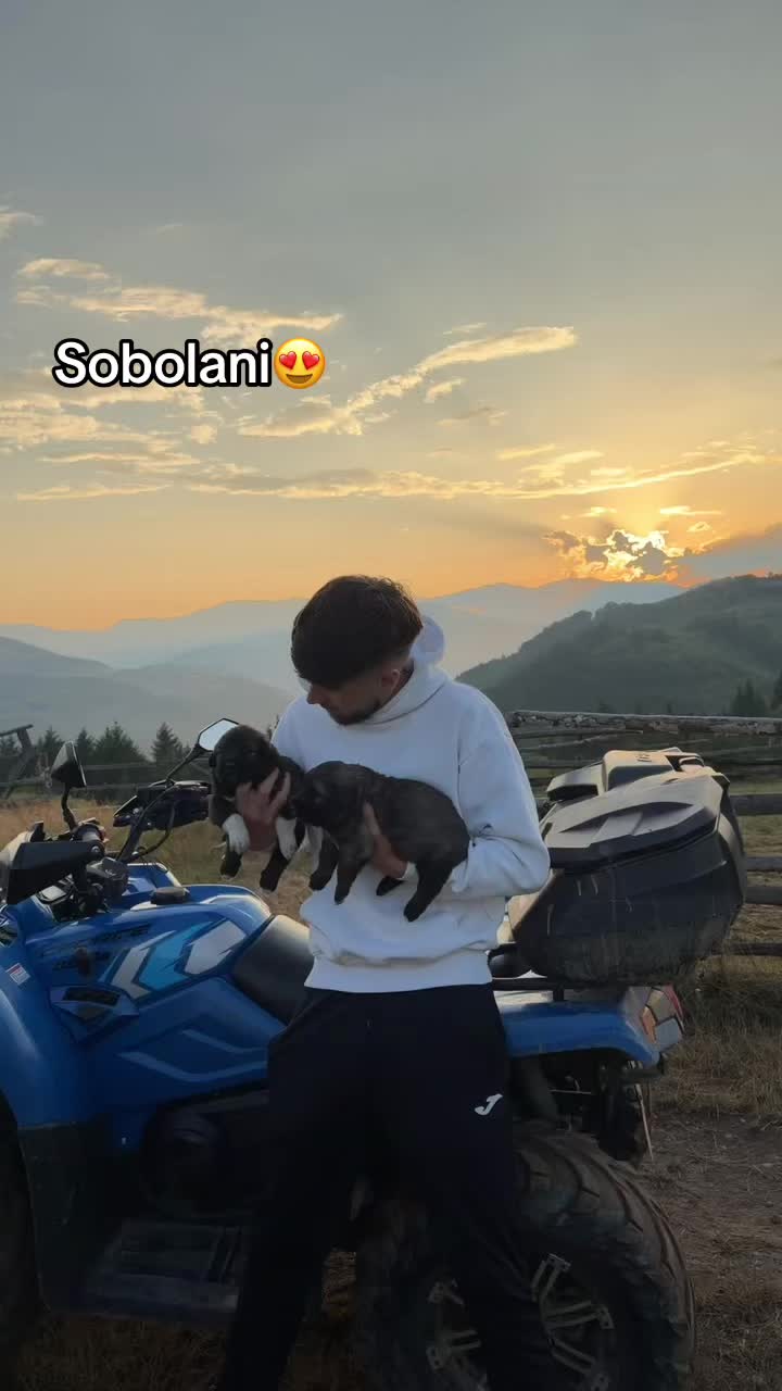@Chițoiu🤍