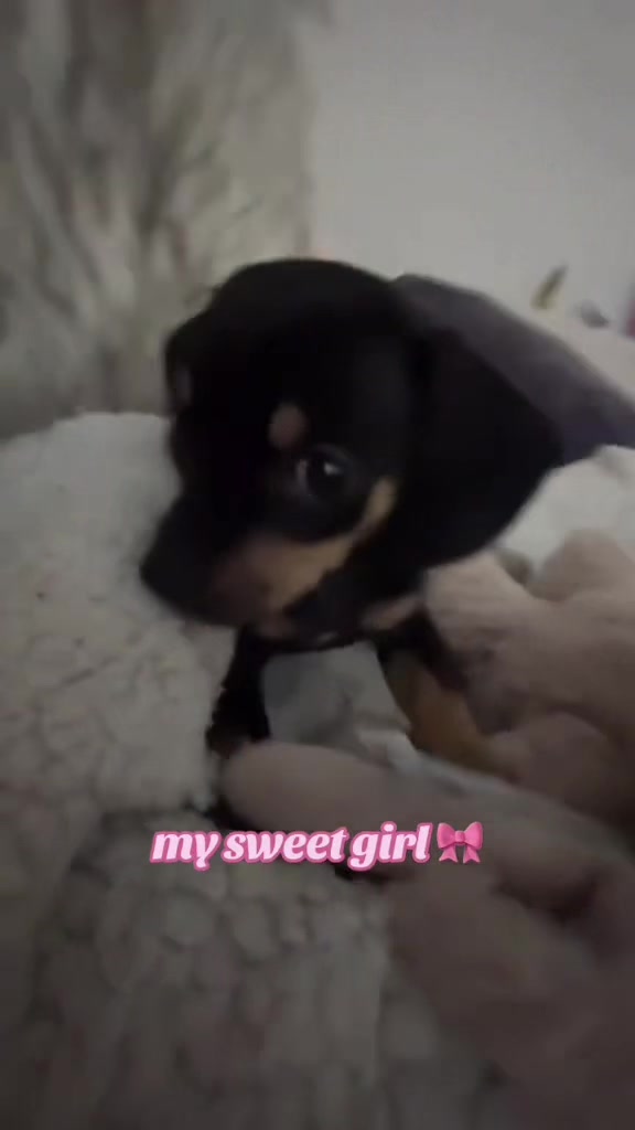 @maisyspam32