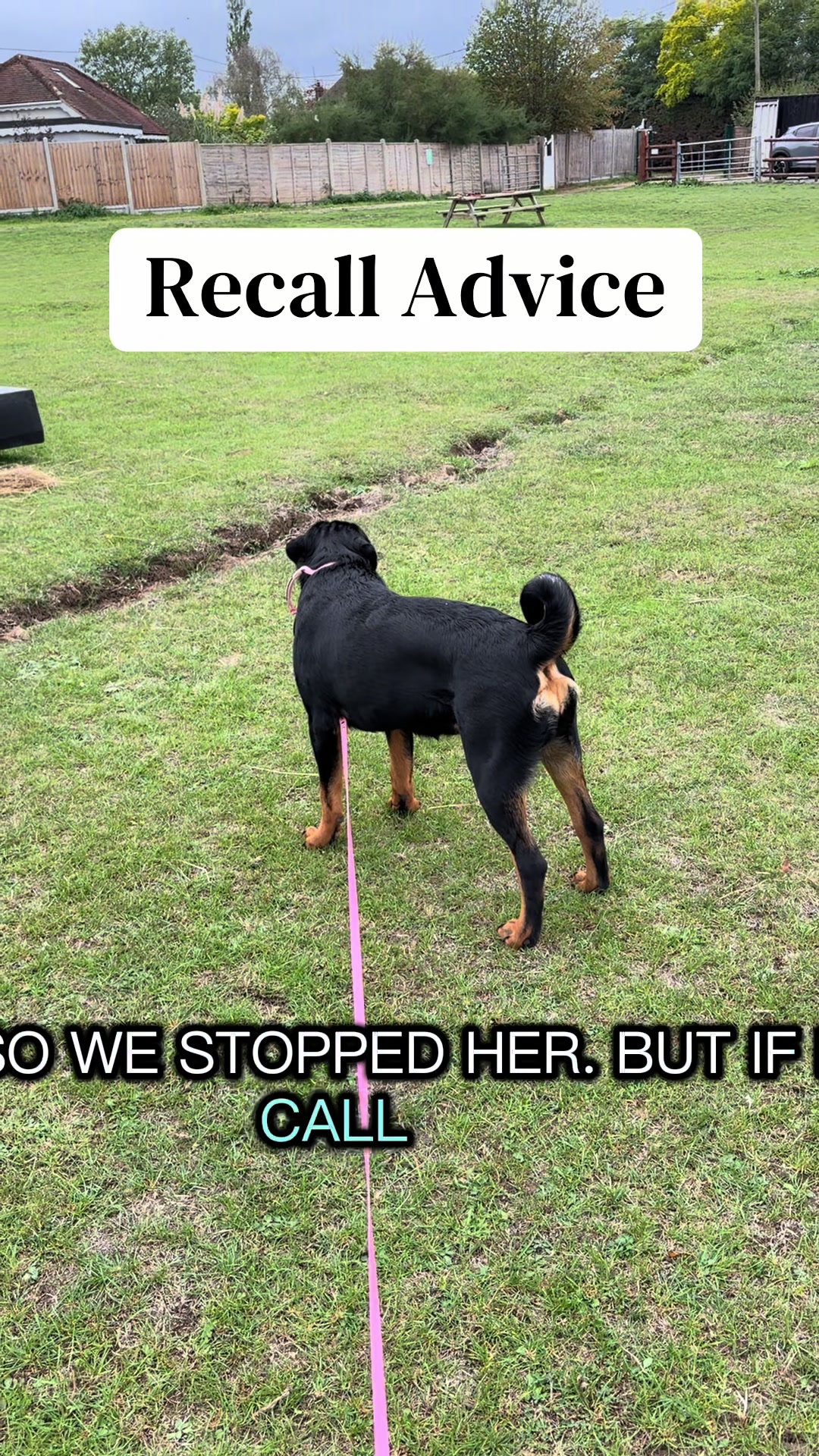 @SouthendDogTraining