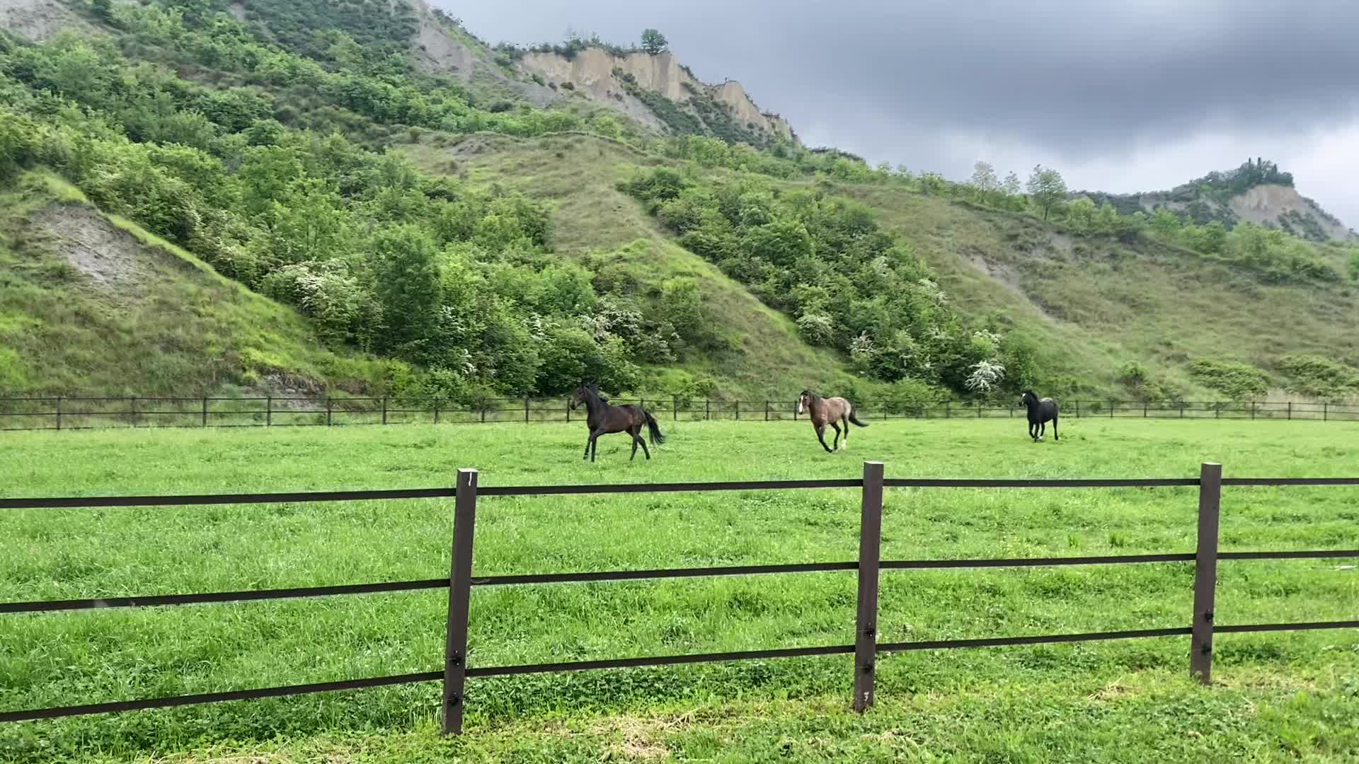 @horse_boy.4