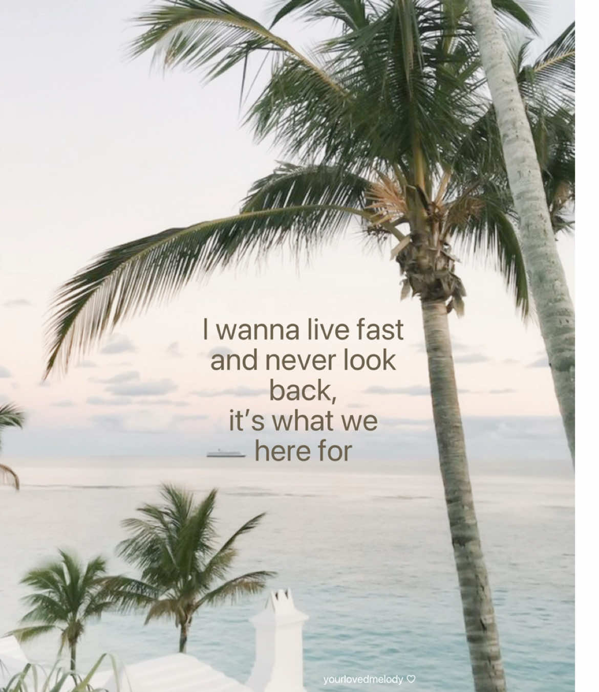 @dany’s playlist ໒꒱