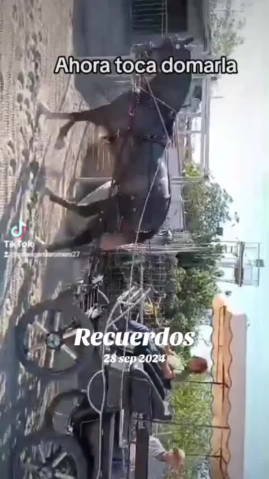@rafa