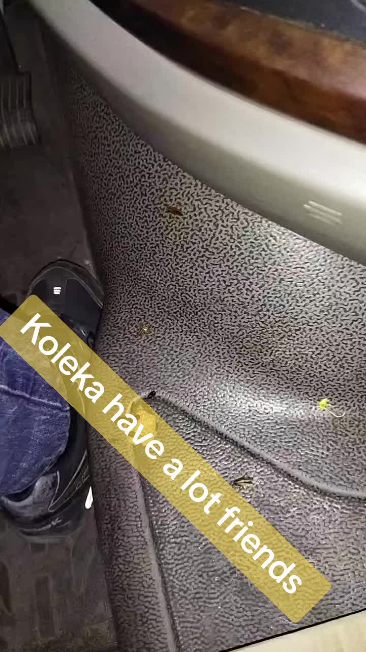 @Kolekabigproblem