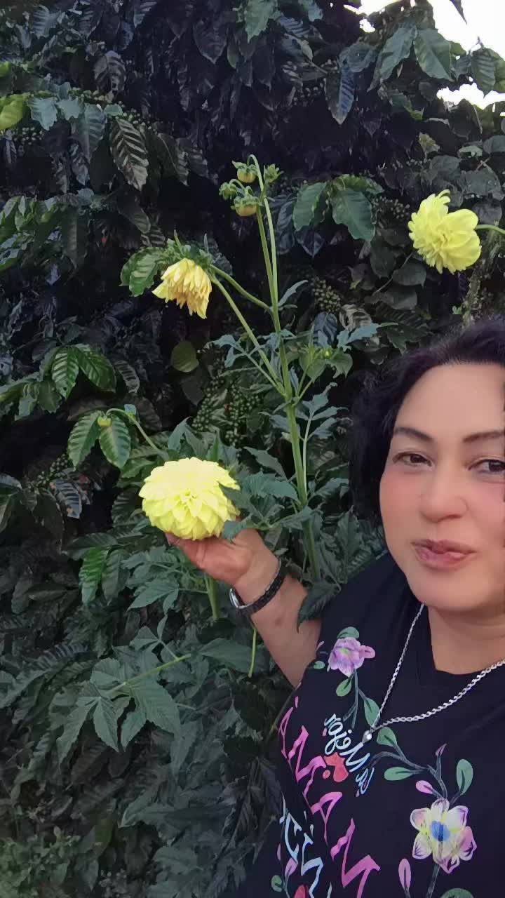 @telma Espinoza