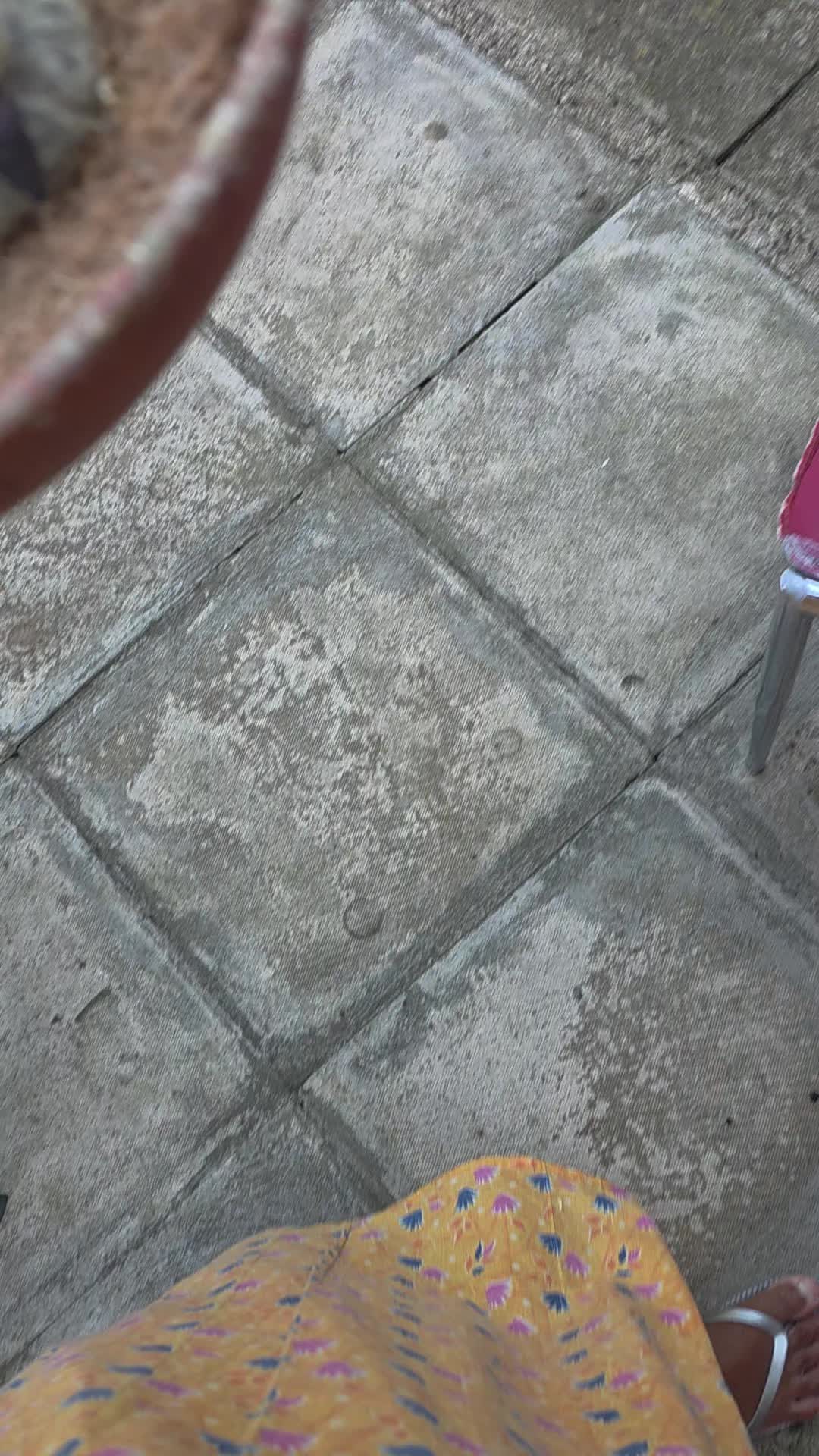 @sheli