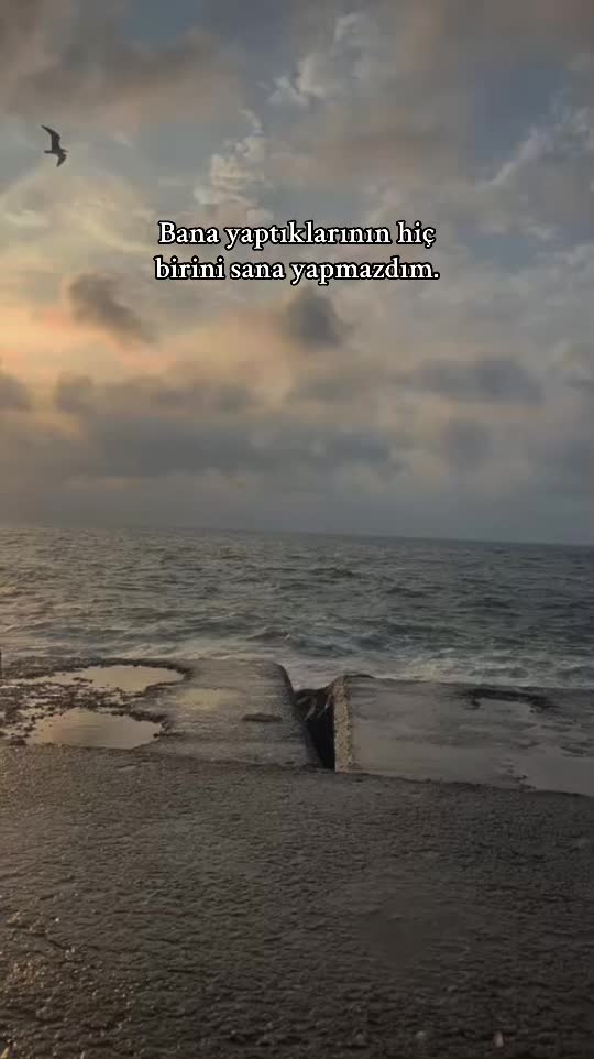 @turkdeepler