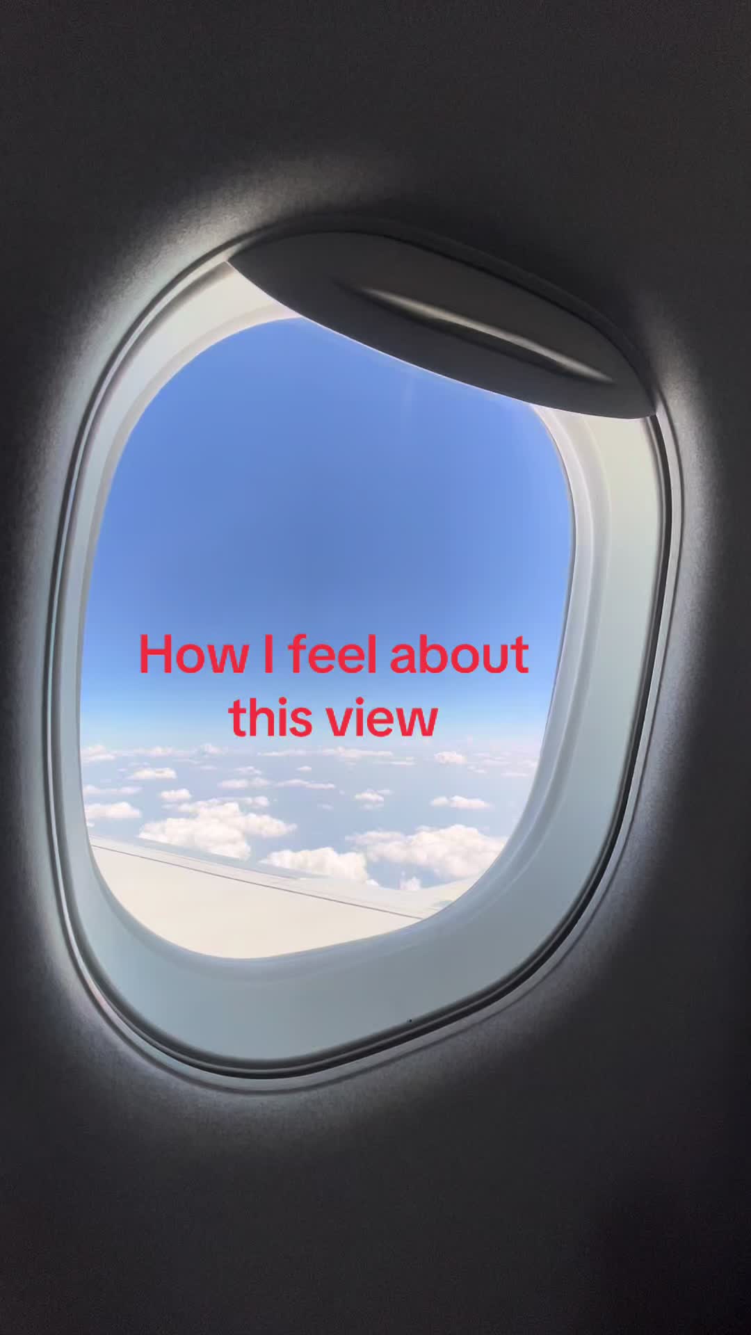 @Aoibh 🪩