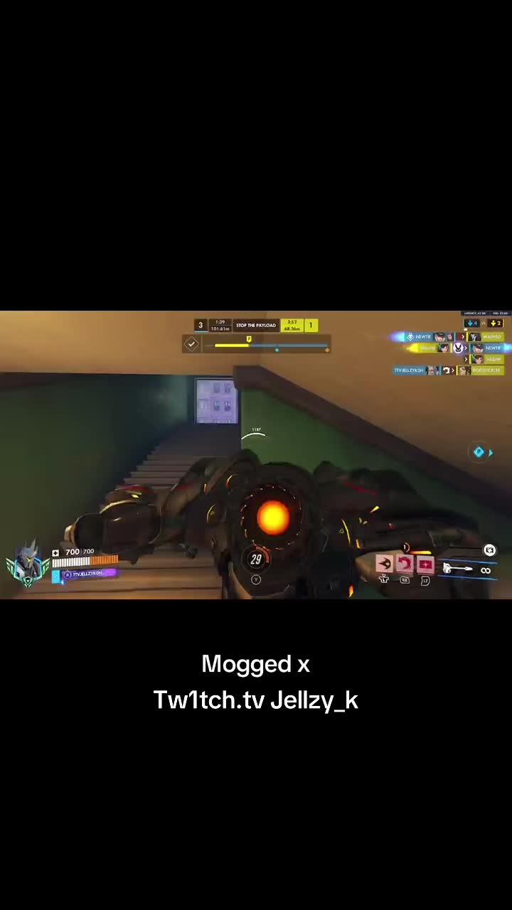 @TTV JELLZY_K0H