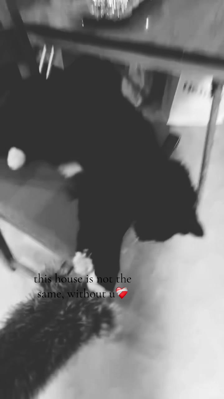 @clar1sh_