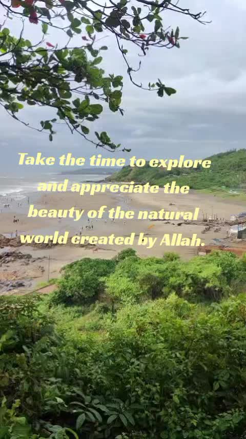 @حافظ عزير