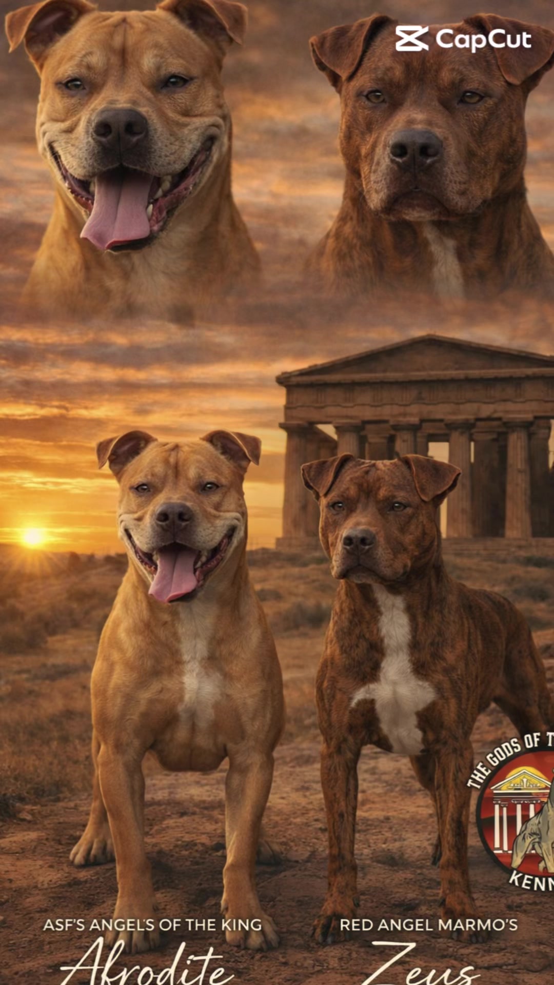 @The gods of the valley🏛️🐾