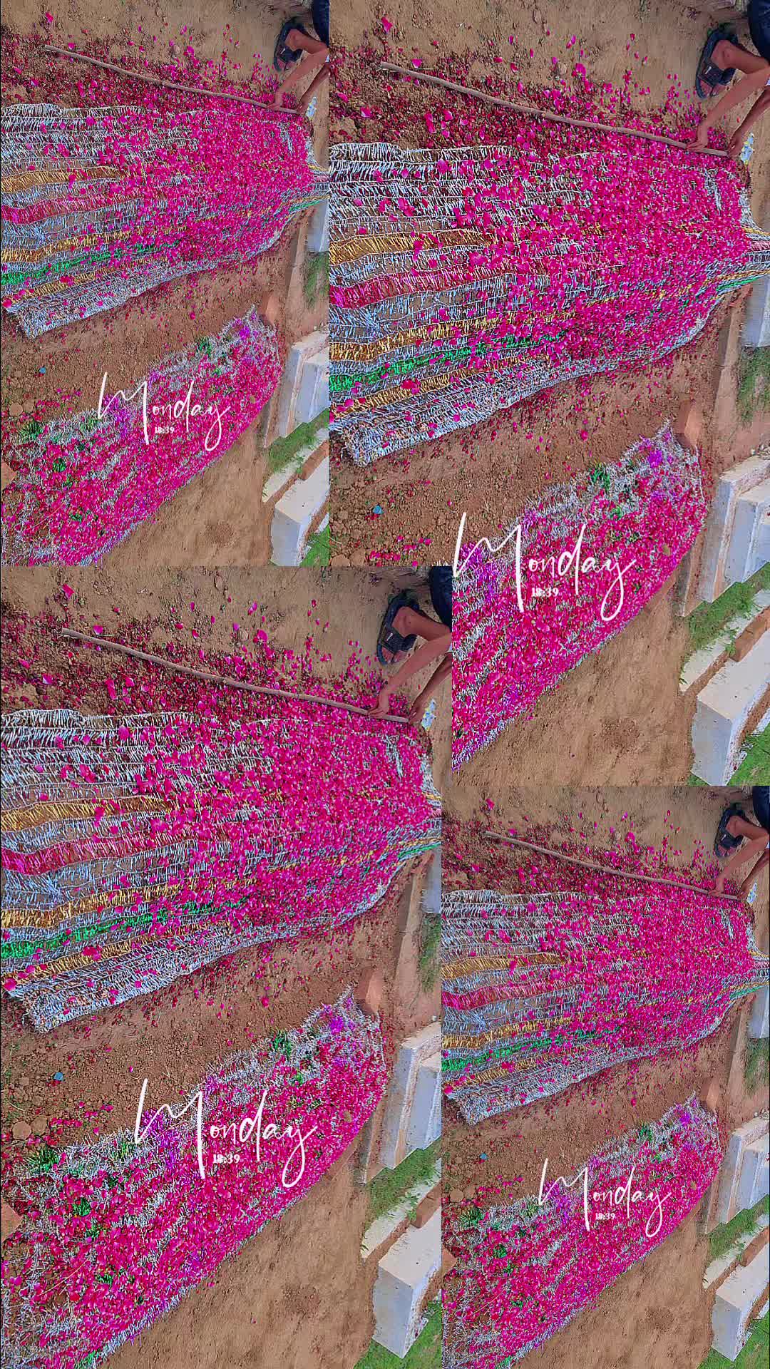 @❦︎༄🦋🅐︎ Ⓚ︎🅗︎Ⓐ︎🅝︎🦋࿐