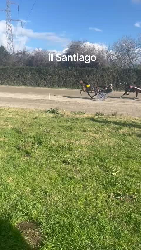 @Vincenzo Veneroso796