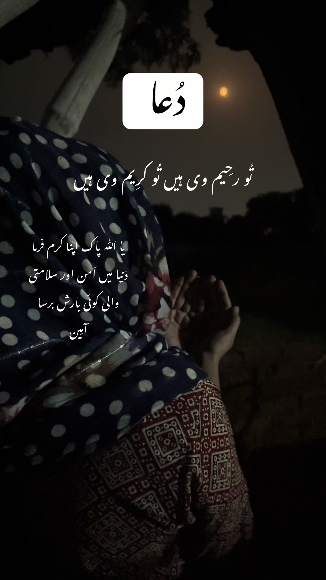 @Parveen Akhtar