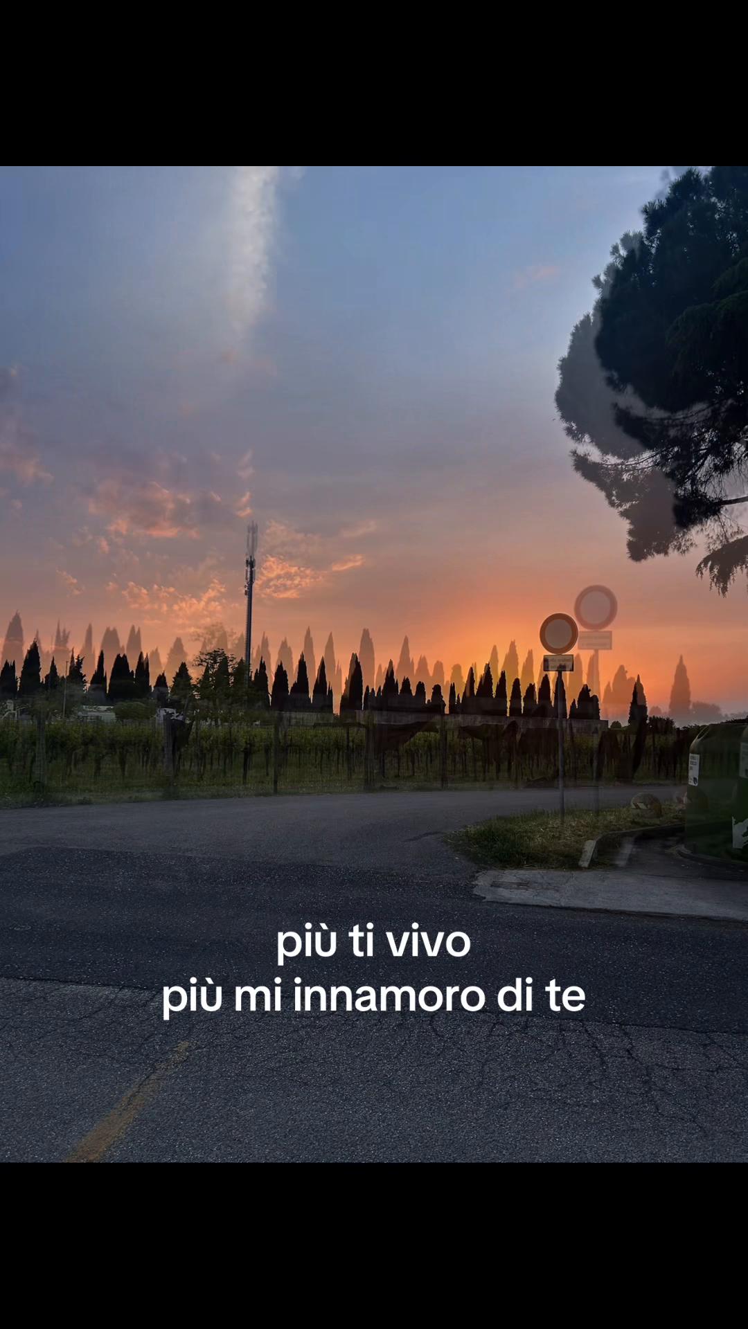 @777_.ani