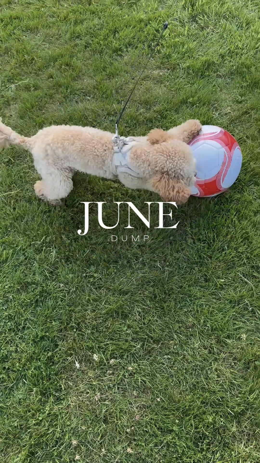 @💚 𝓒𝓵𝓪𝓻𝓮 💚