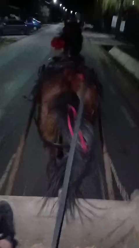 @Ștefăniță Oprea