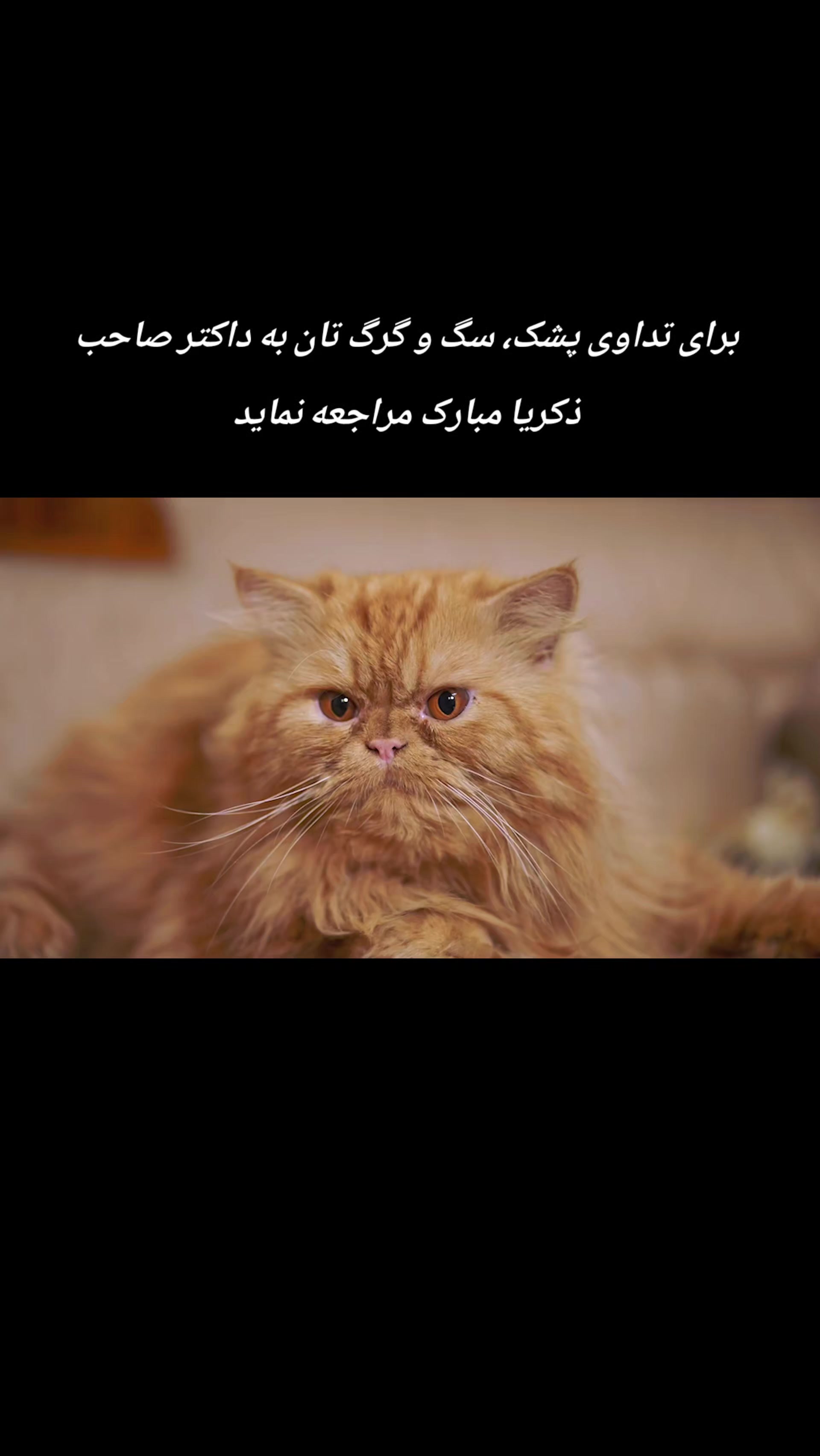 @hayatullah Ishaqzai