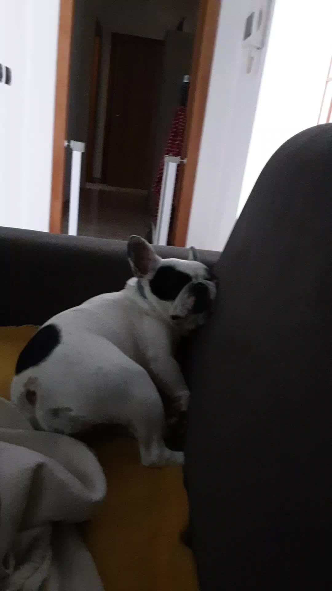 @Nelly🩷Maya🐶