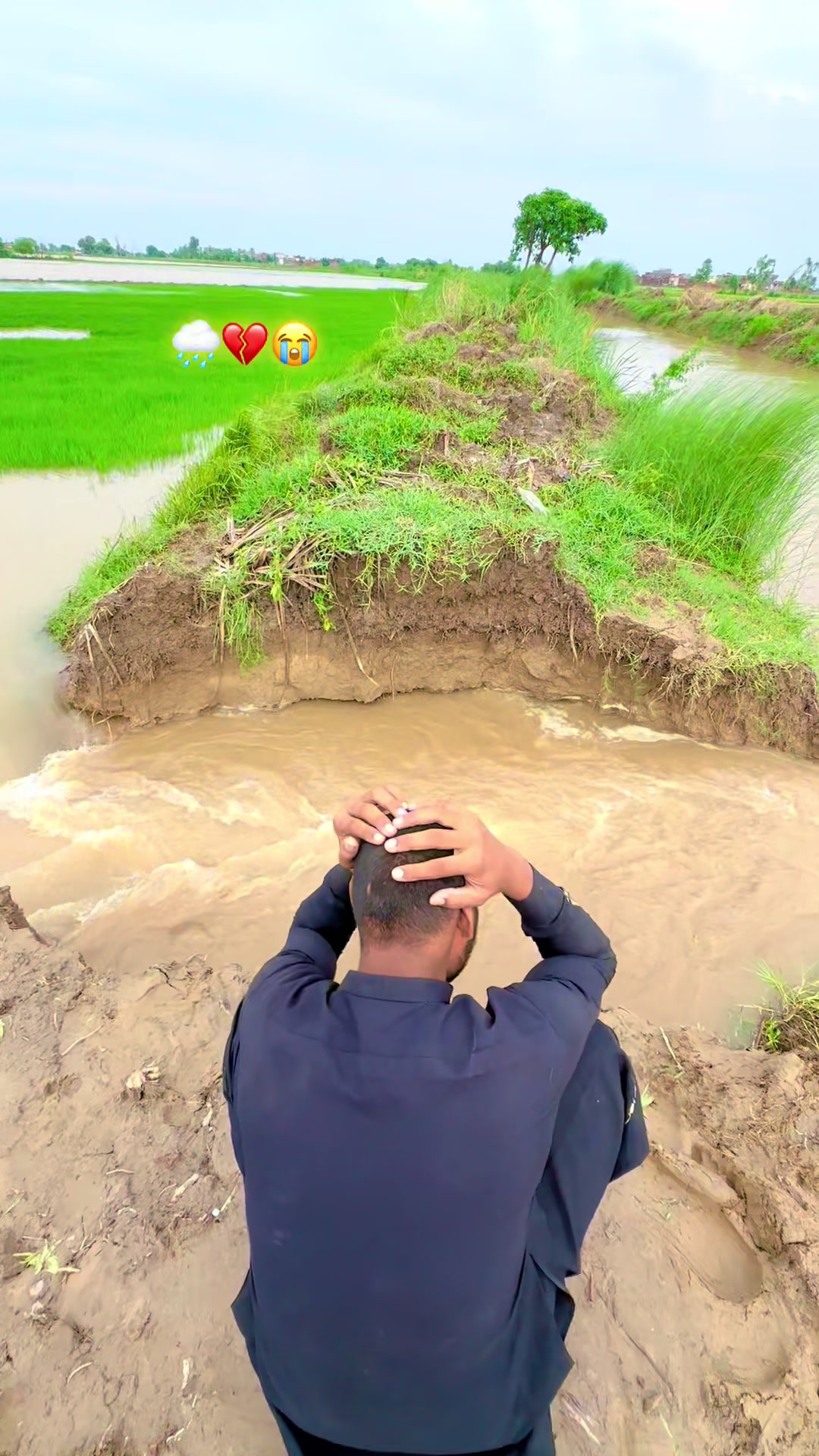 @سبحان زرعی فارم.🙌🌾
