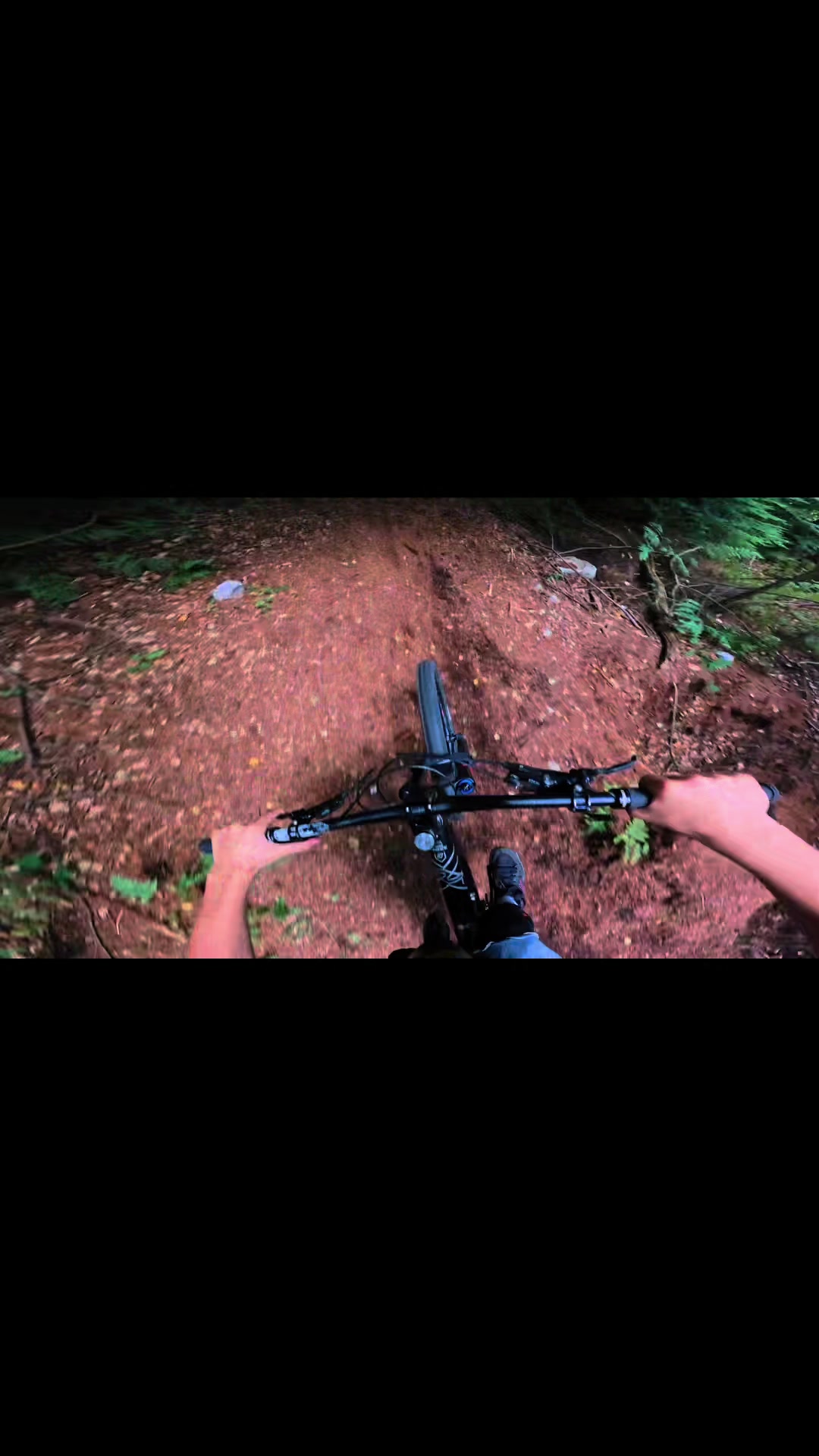 @๐๏ธโ๏ธ Ned_on_commencal โ๏ธ๐๏ธ