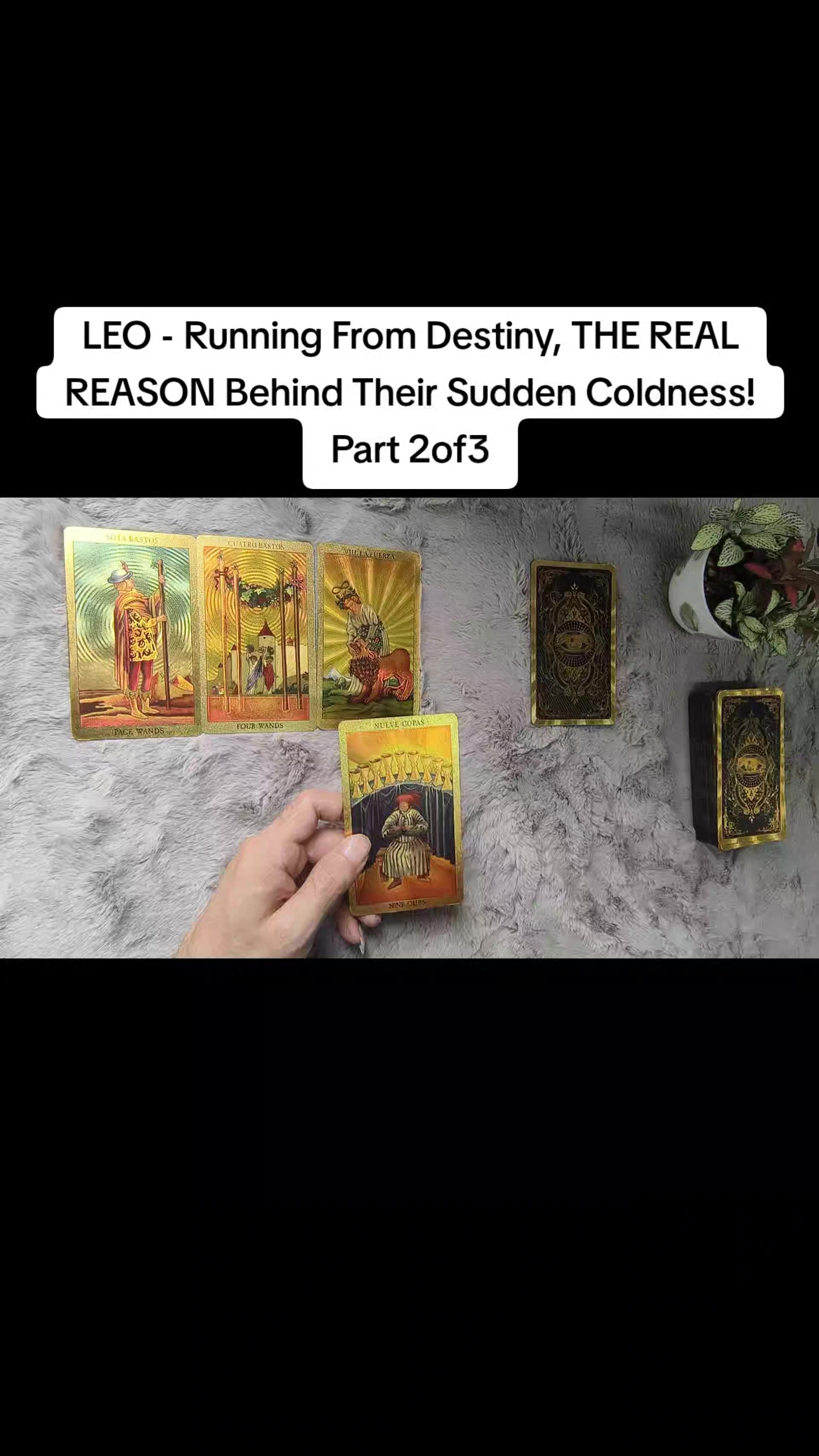 @Pisces Oceanic Mysteries