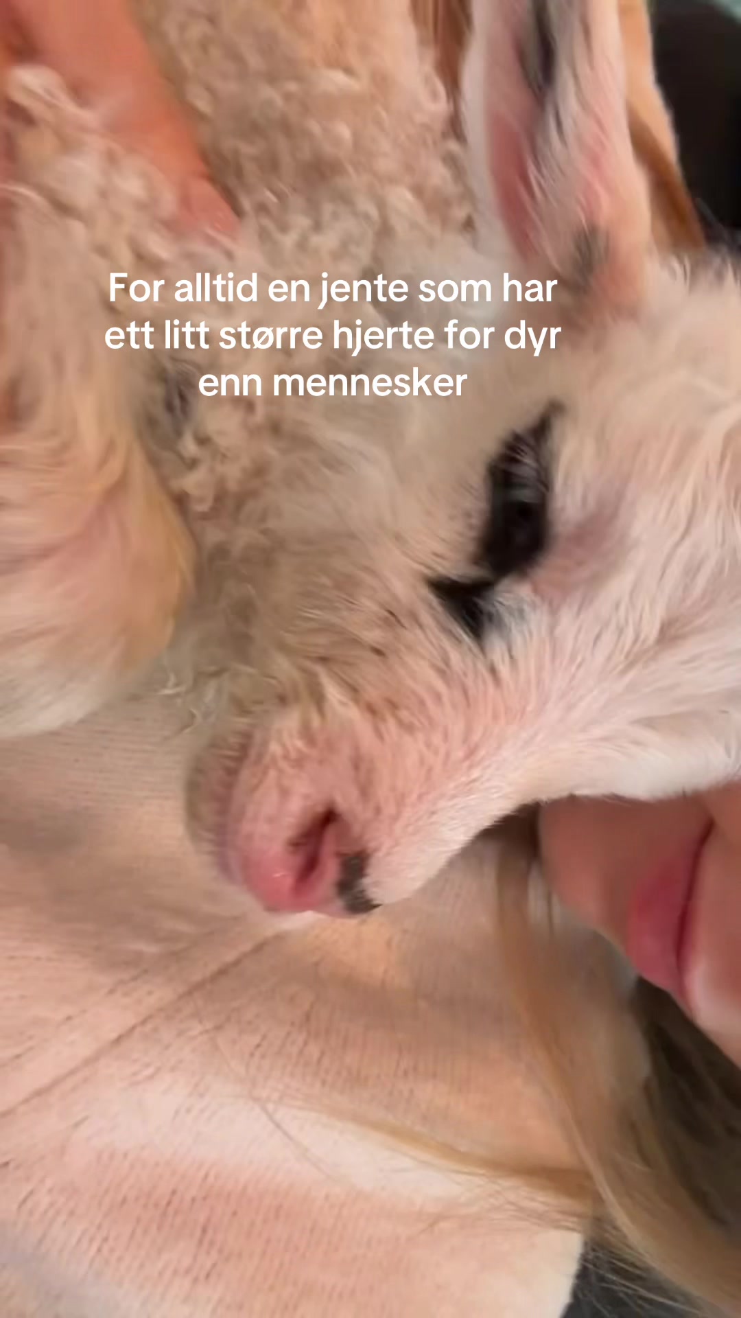 @tuvagullet