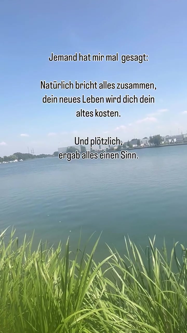 @Denise Muschel 🌸