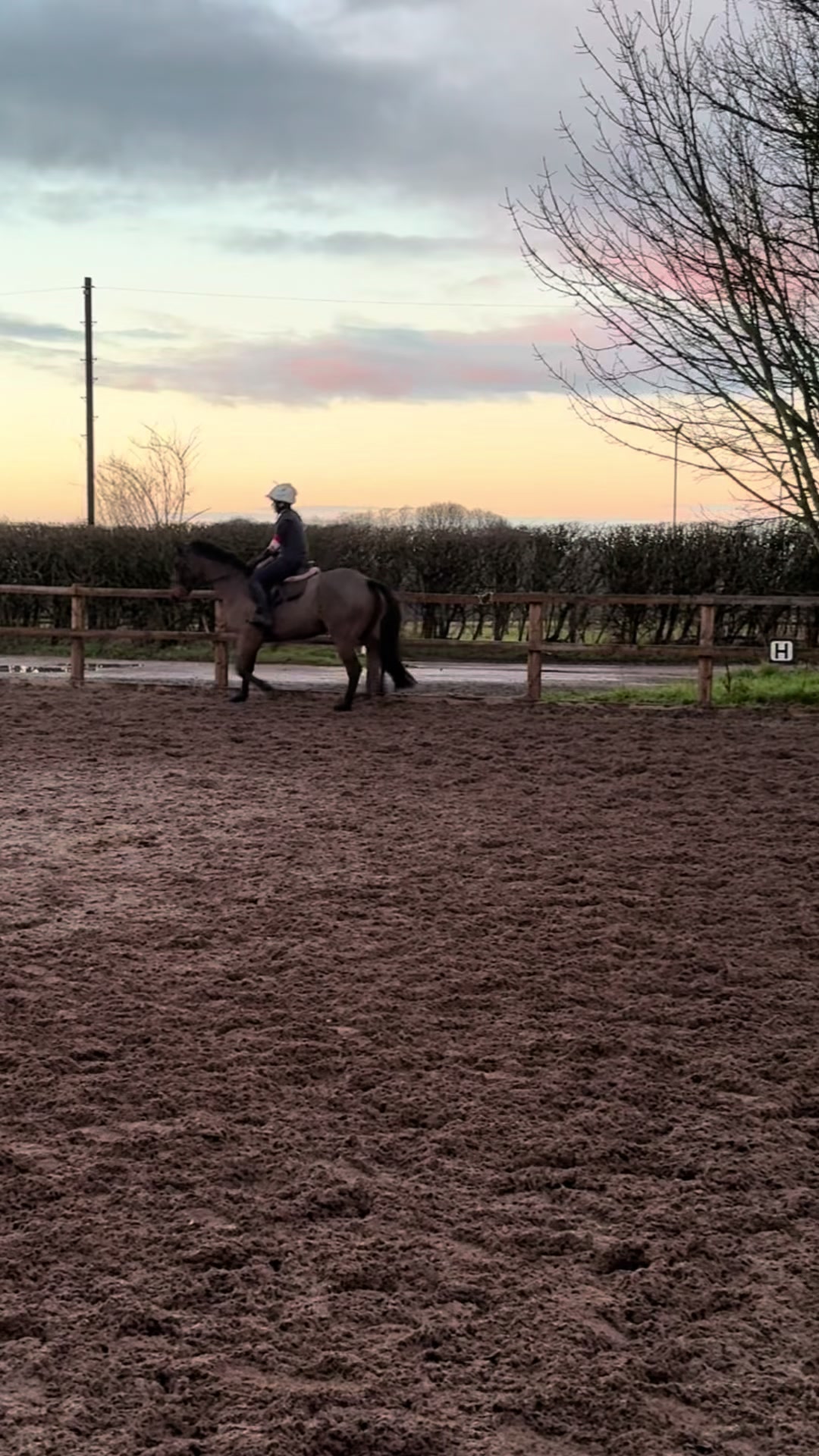 @MG.eq🇬🇧🐴