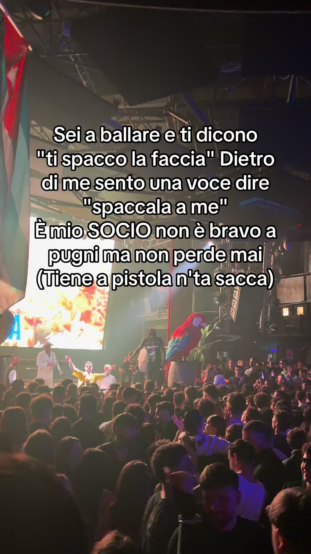@ileniaapellicciari__