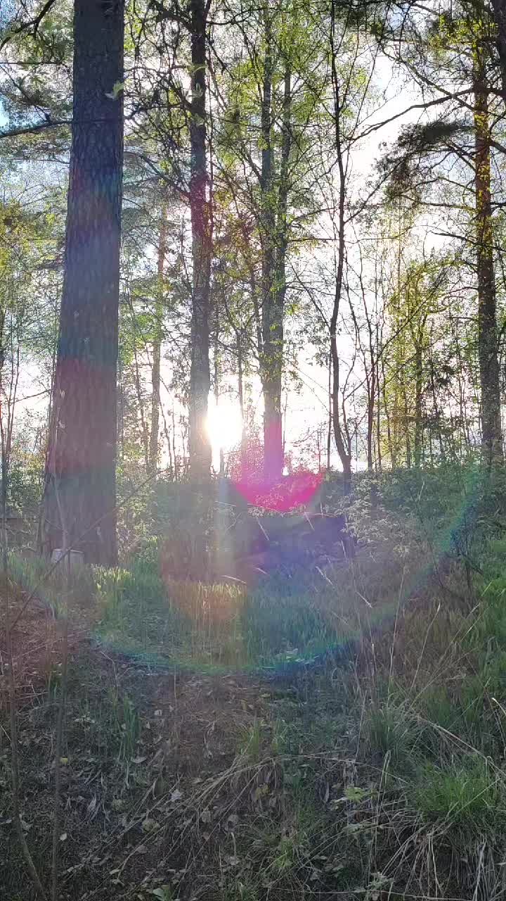 @Aurora🐼