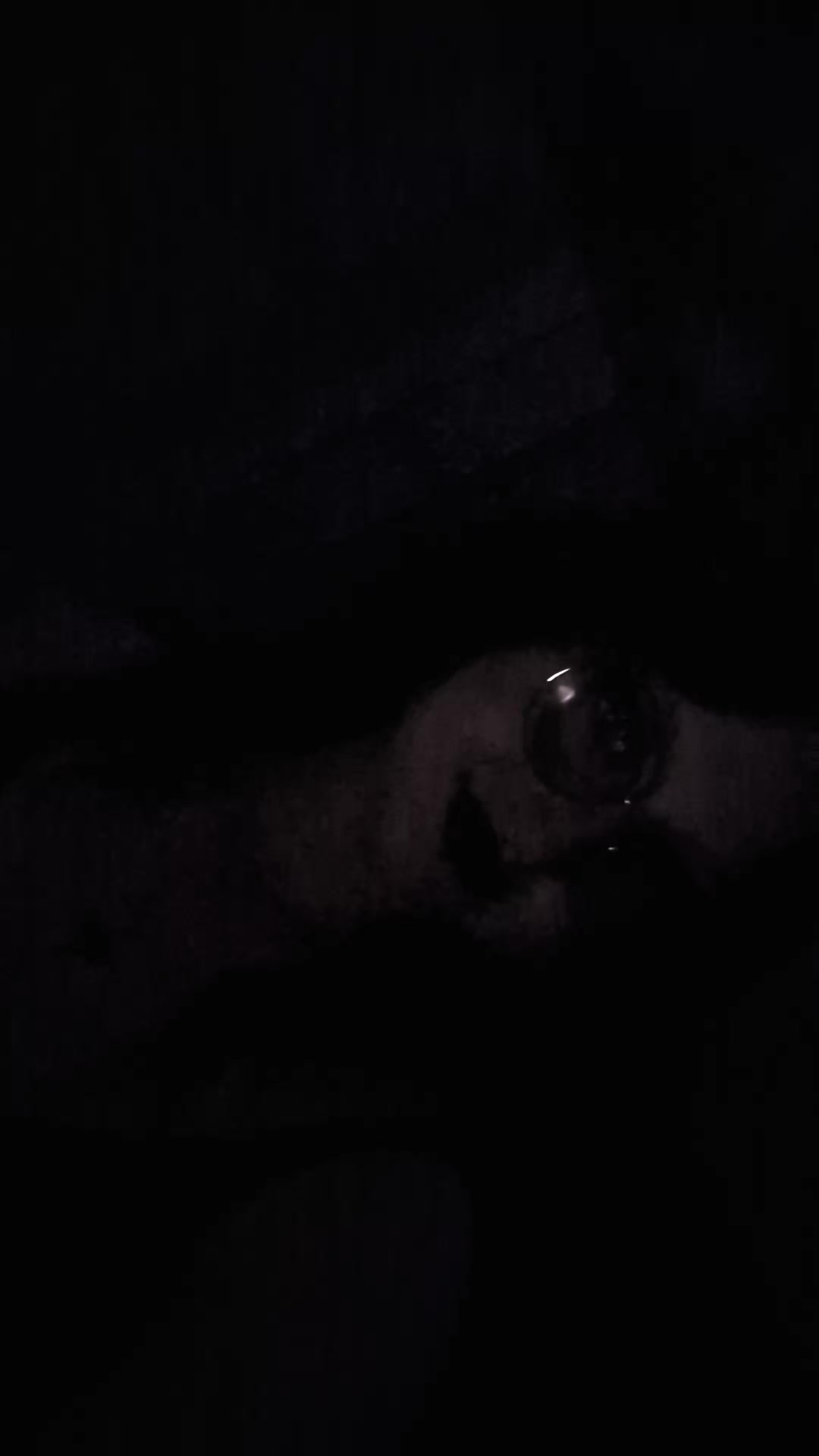 @Lilya<3