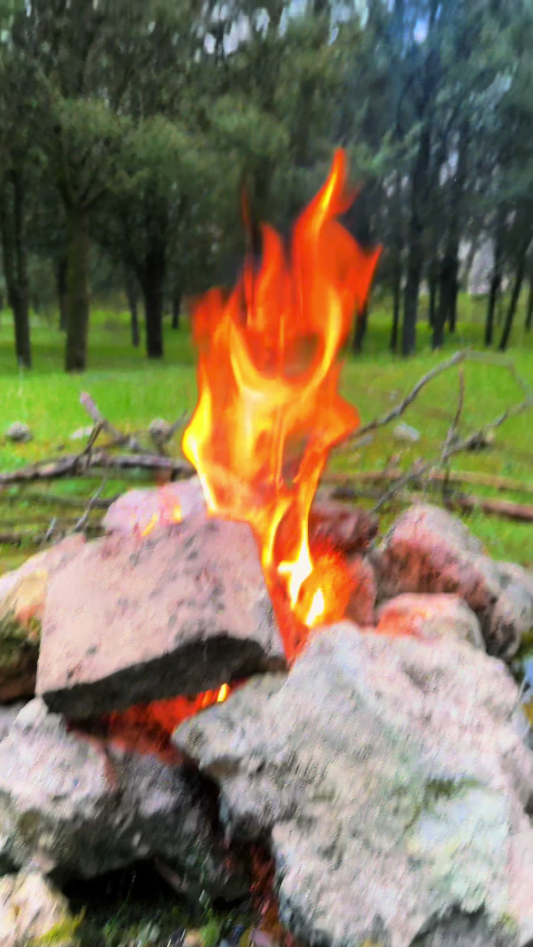 @Valkyrja🧝♀️Seiðreka🔮Völva