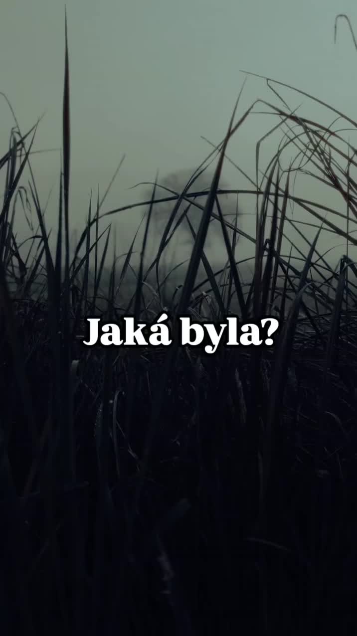 @Deni K