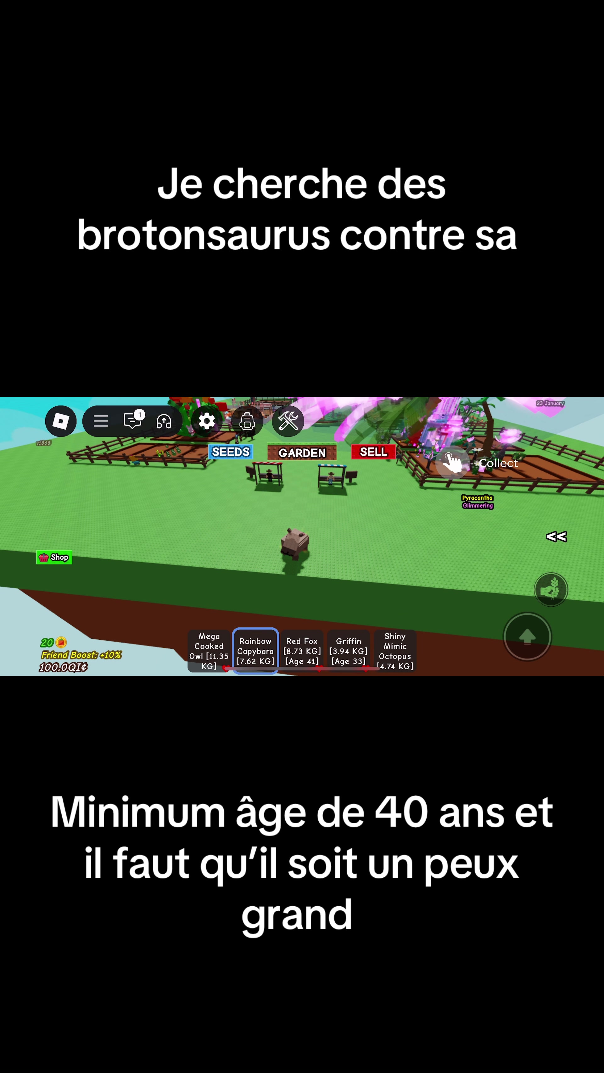 @Seyli 🎮👾