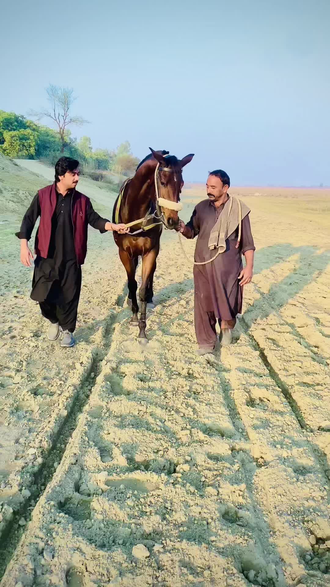 @rehan🕊️