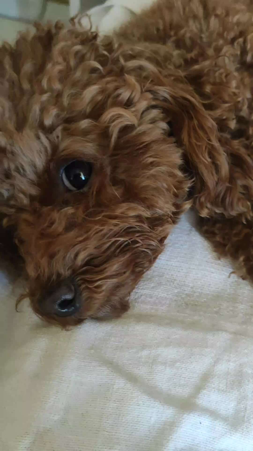 @❤️