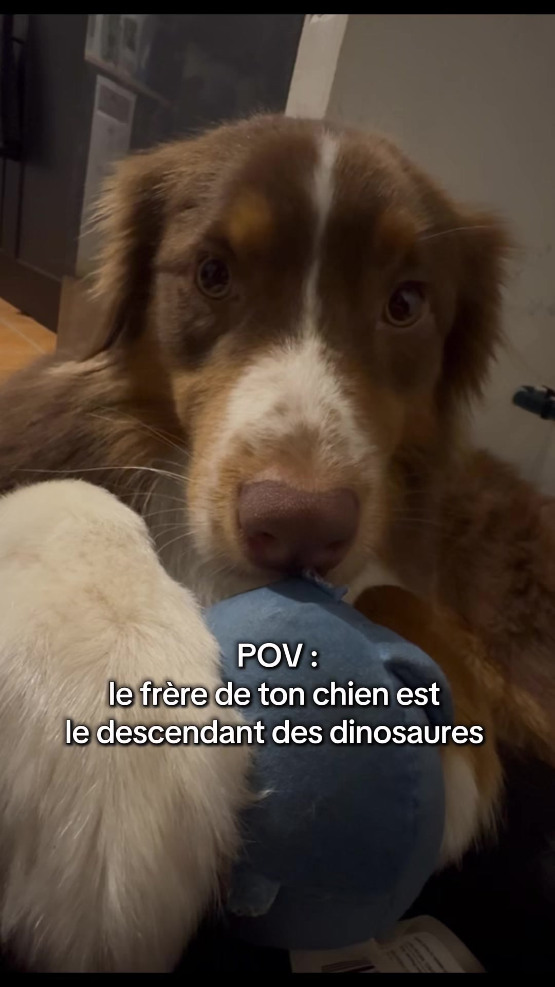 @Lucie