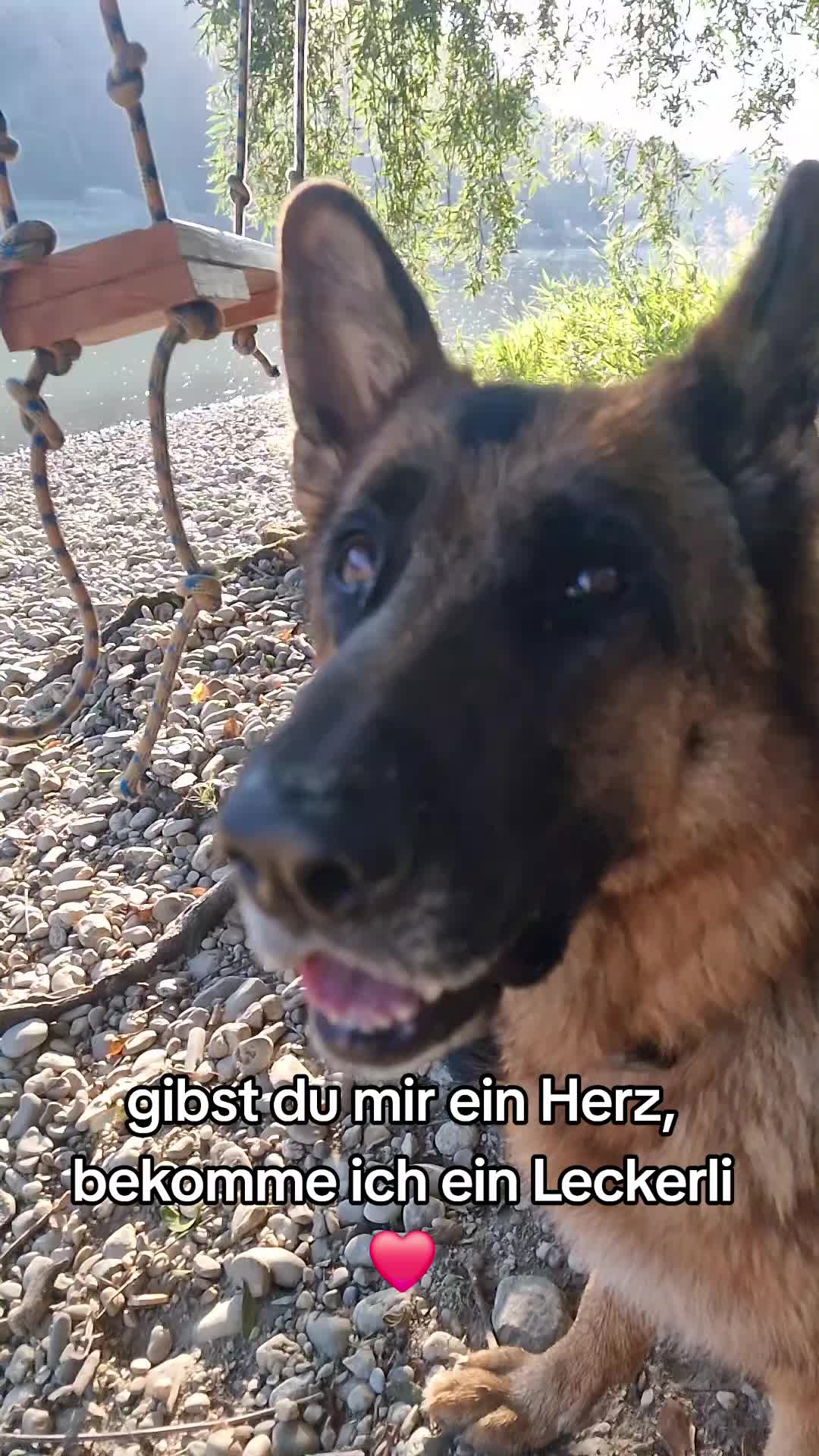 @Nala