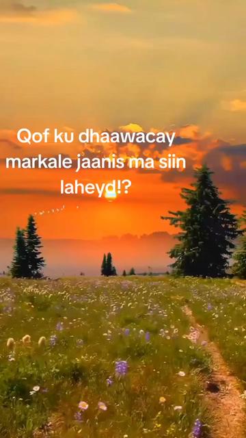 @Queen kuboodo